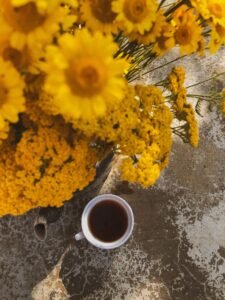 Yirgacheffe Coffee: A Friendly Guide to Ethiopia’s Bright, Floral Brew