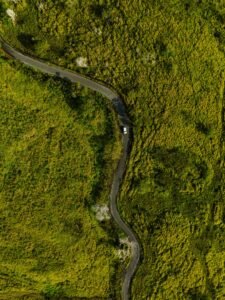 Kona Coffee: From Volcanic Slopes to Your Morning Cup