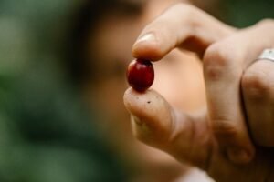 Caturra Coffee: The Bright, Beloved Bean Behind Your Morning Cup