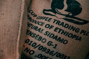 Sidamo Coffee: A Friendly Guide to Ethiopia’s Bright, Flavorful Beans