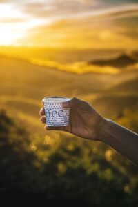 Castillo Coffee: A Friendly Guide to Colombia’s Resilient Bean